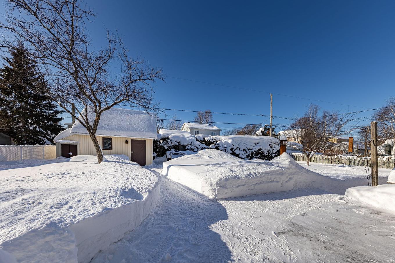 Cour - 54 Rue De La Licorne, Québec (Beauport), QC - Outdoor