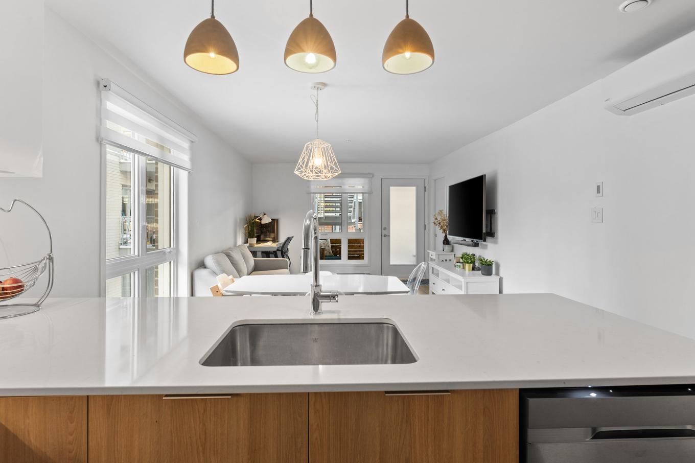 Overall view - 202-594 Rue Nicolet, Montréal (Mercier/Hochelaga-Maisonneuve), QC - Indoor Photo Showing Kitchen