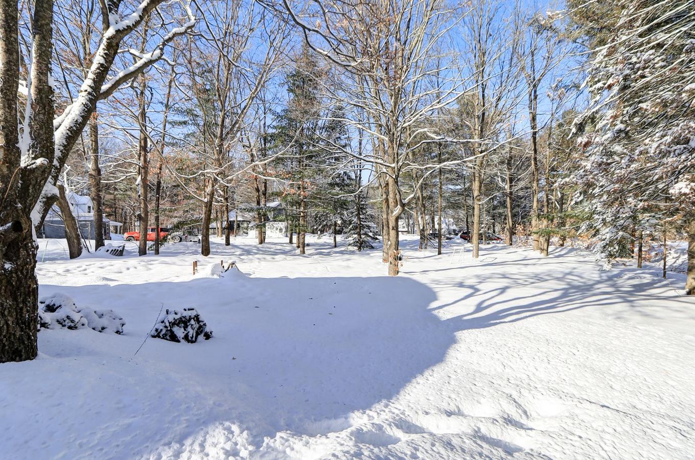 Backyard - 1003 Rue Sandra, Saint-Jérôme, QC - Outdoor With View