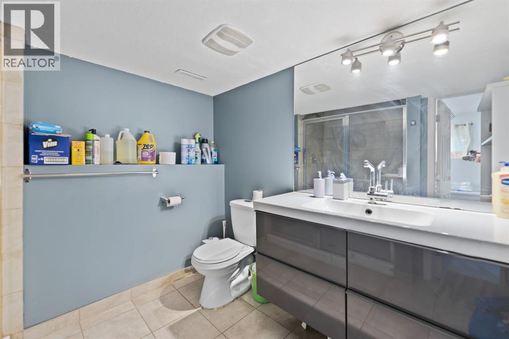 20 Castlegrove Way Ne, Calgary, AB - Indoor Photo Showing Bathroom