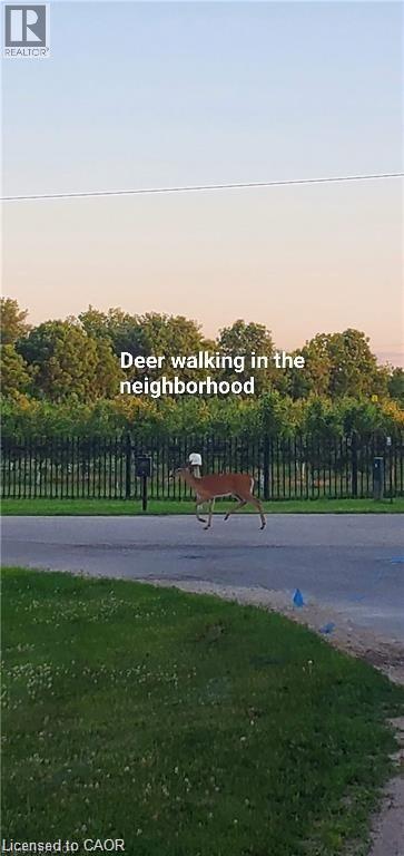 Surrounding community - 263 Chestnut Ridge, Waterloo, ON - Outdoor With View