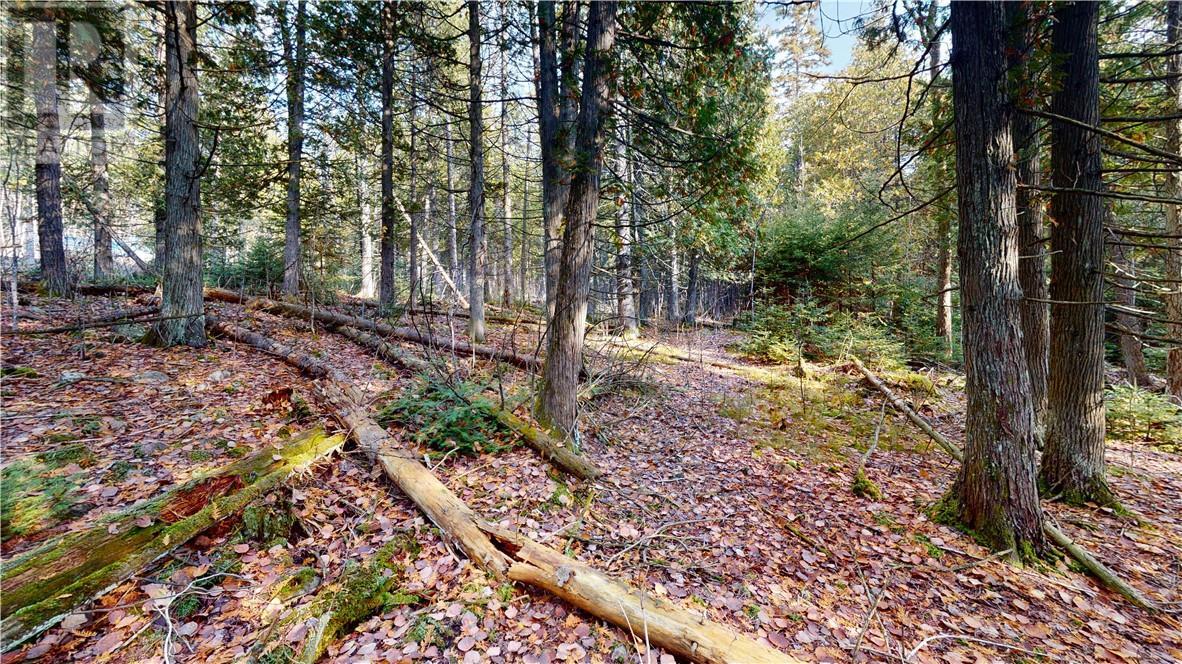 7 Sandy Point, Manitowaning, ON