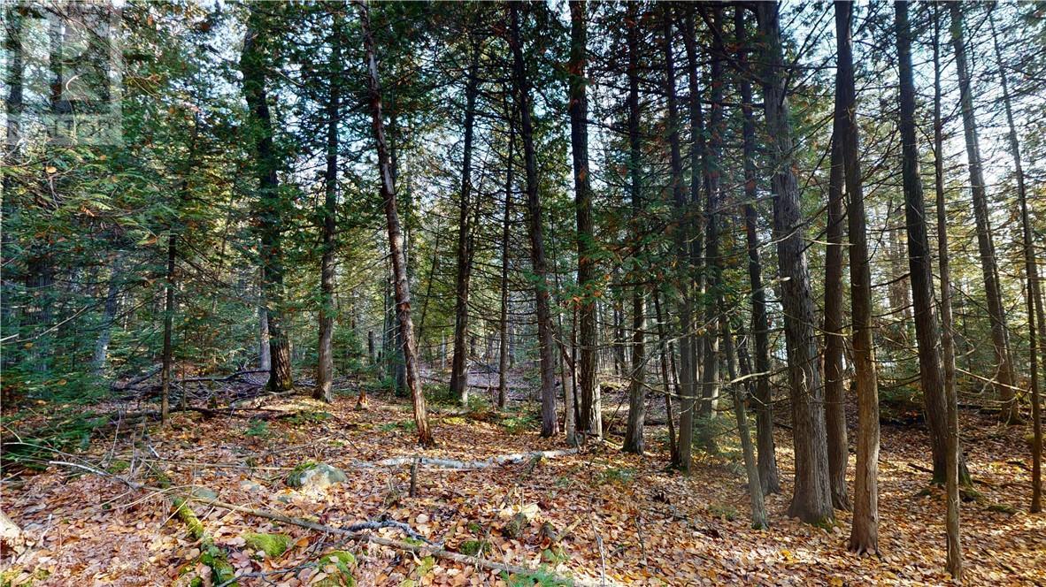 7 Sandy Point, Manitowaning, ON