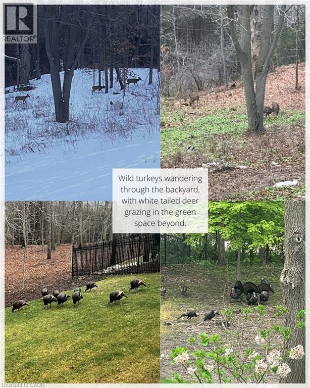 44 Pioneer Ridge Drive, Kitchener, ON - Outdoor