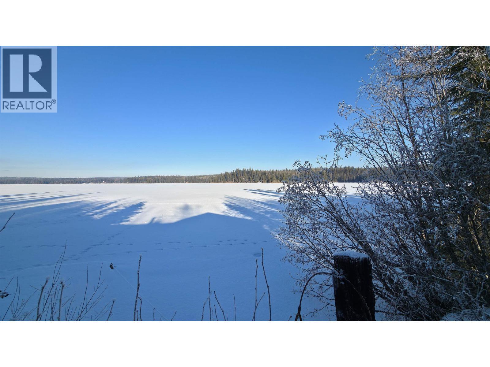 41100 S Bednesti Lake Road, Bednesti, BC - Outdoor With View