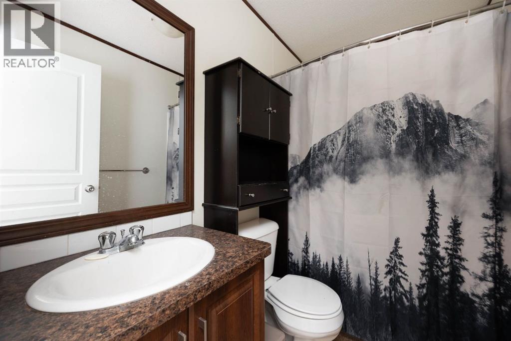 328 Grey Crescent, Fort Mcmurray, AB - Indoor Photo Showing Bathroom