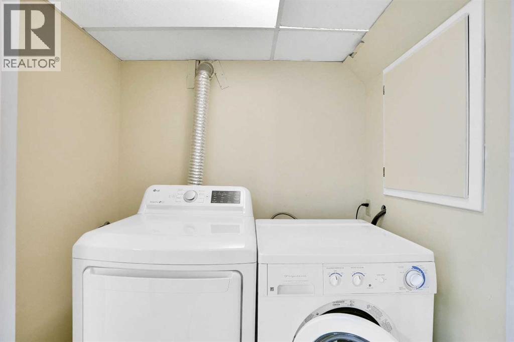 1317 9 Street Nw, Calgary, AB - Indoor Photo Showing Laundry Room