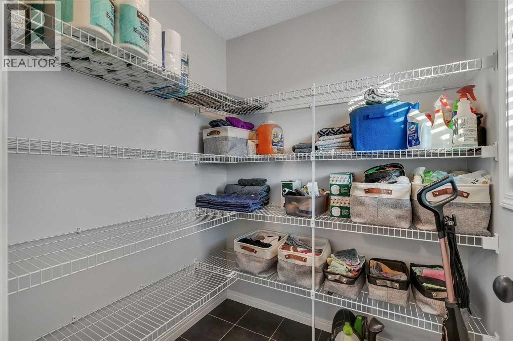 136 Viewpointe Terrace, Chestermere, AB - Indoor With Storage