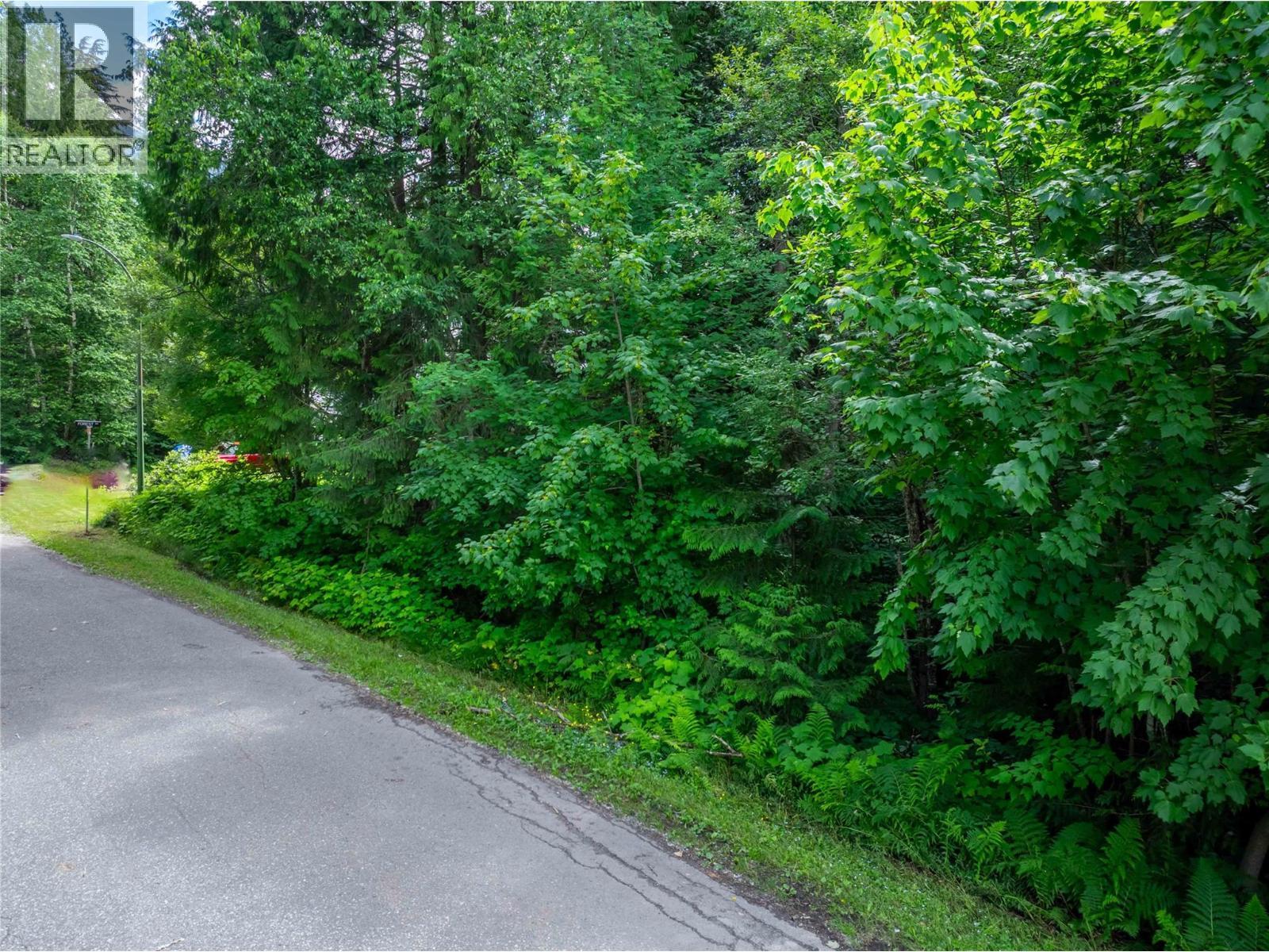 1571 Pratico Road, Revelstoke, BC