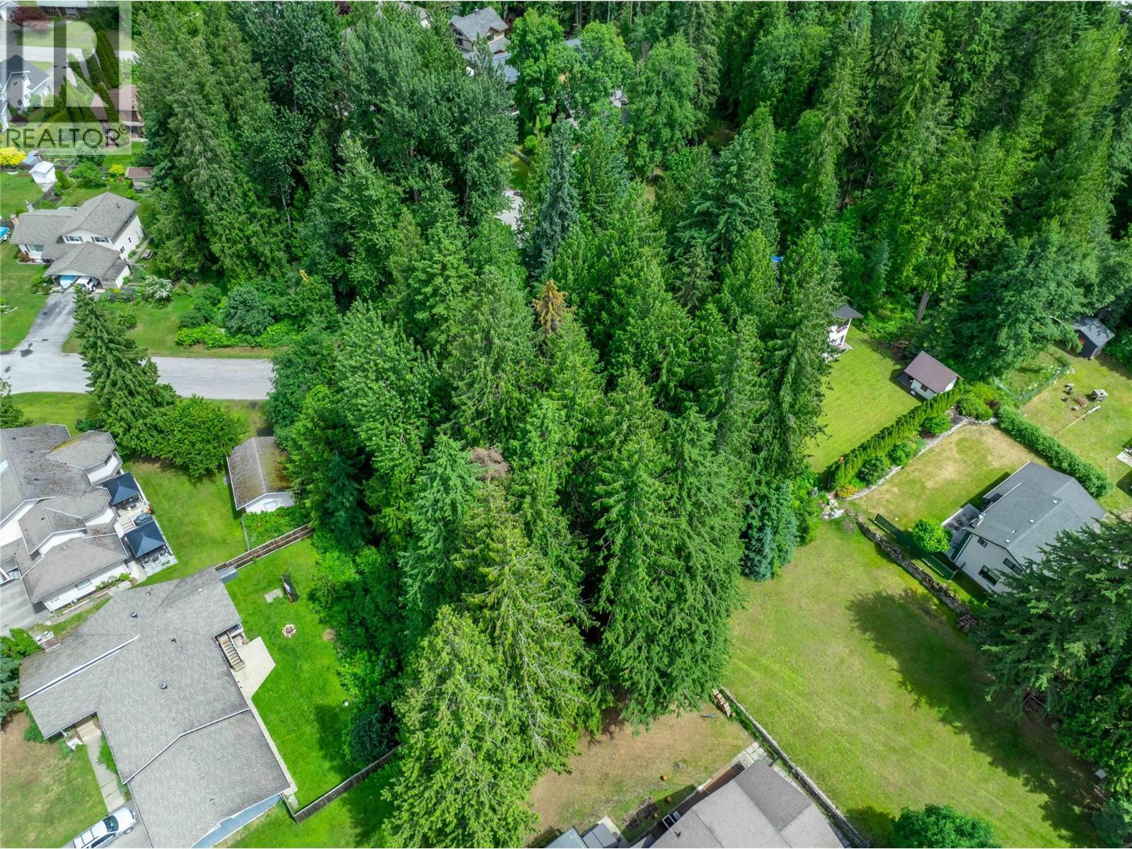 1571 Pratico Road, Revelstoke, BC
