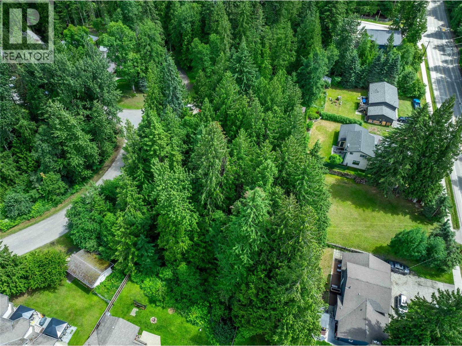 1571 Pratico Road, Revelstoke, BC