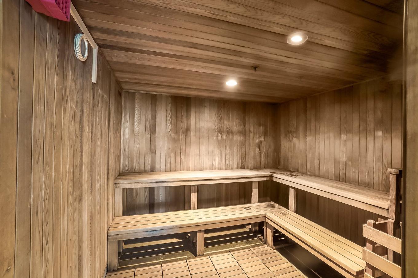 Sauna - 203-199 Rue De La Rotonde, Montréal (Verdun/Île-Des-Soeurs), QC - Indoor Photo Showing Other Room