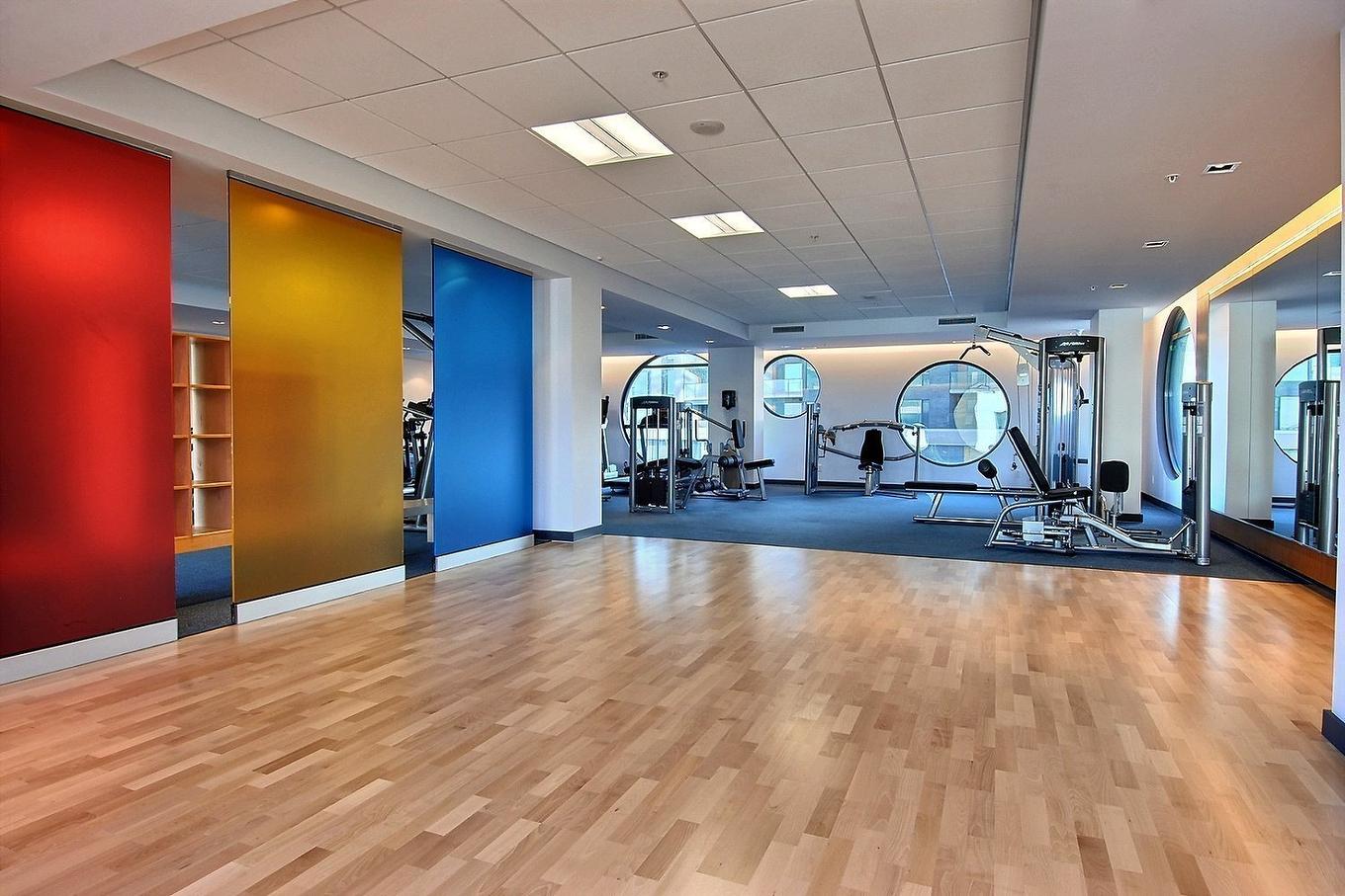Salle d'exercice - 203-199 Rue De La Rotonde, Montréal (Verdun/Île-Des-Soeurs), QC - Indoor