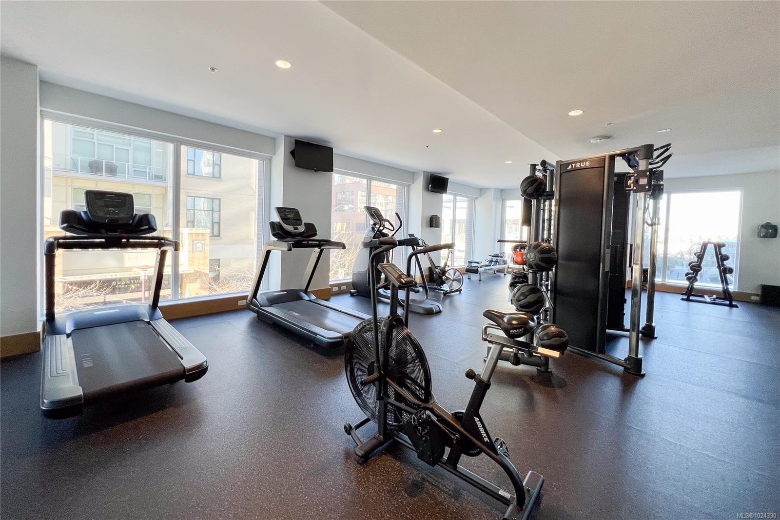 1108-777 Herald St, Victoria, BC - Indoor Photo Showing Gym Room