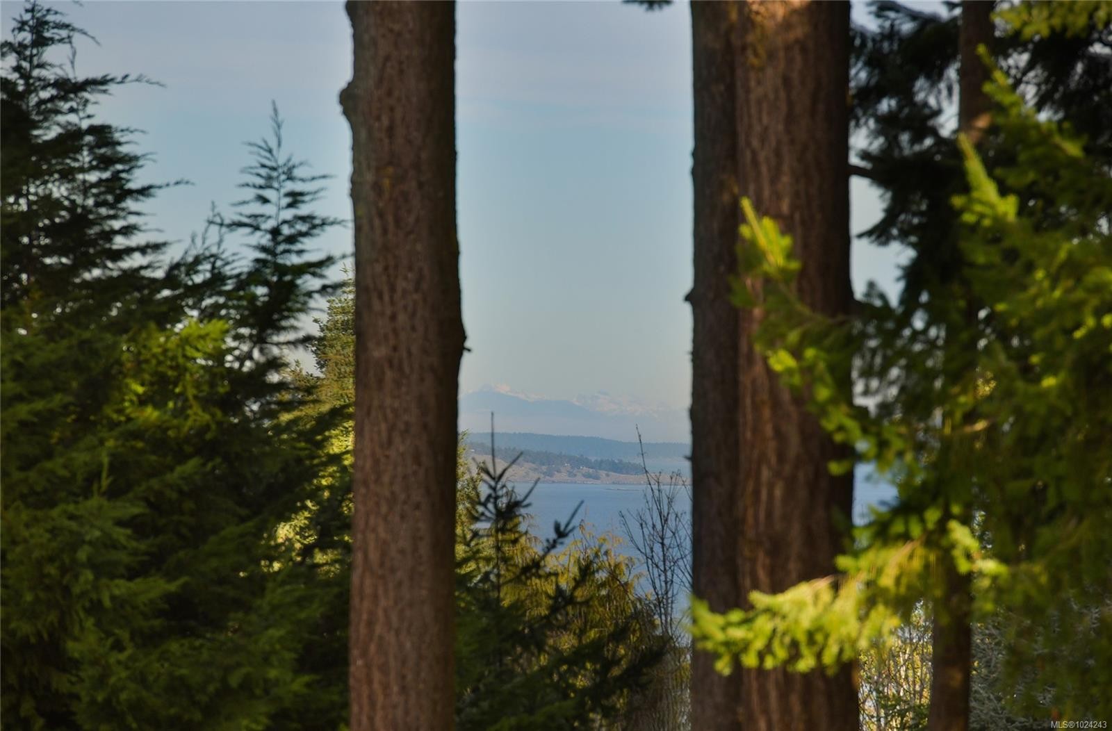 4911 Sea Ridge Dr, Saanich, BC