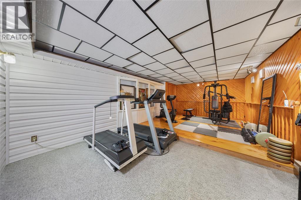 5328 Mandaumin Road, Plympton-Wyoming, ON - Indoor Photo Showing Gym Room