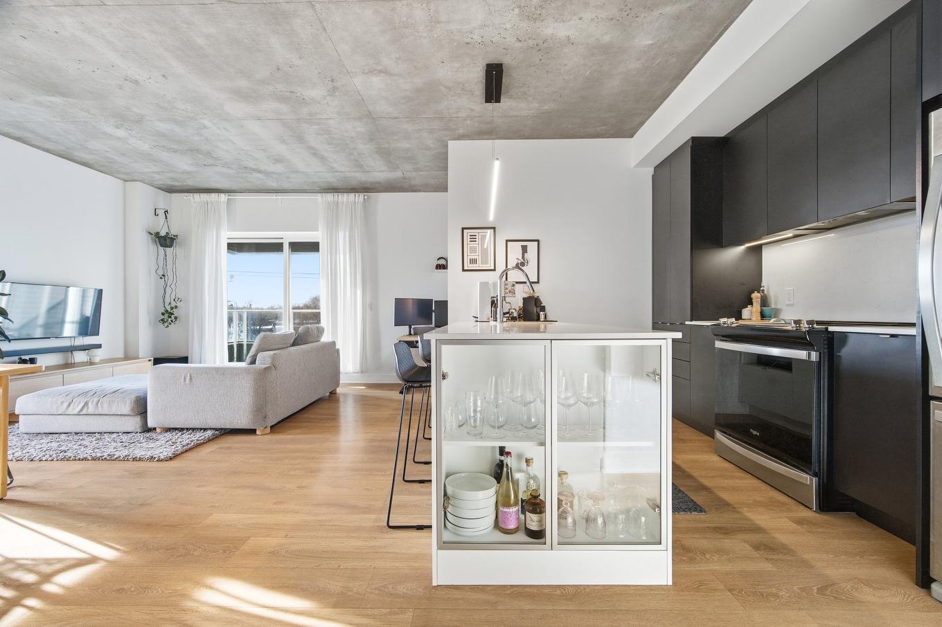 Vue d'ensemble - 415-9250 Av. Dubuisson, Montréal (Mercier/Hochelaga-Maisonneuve), QC - Indoor