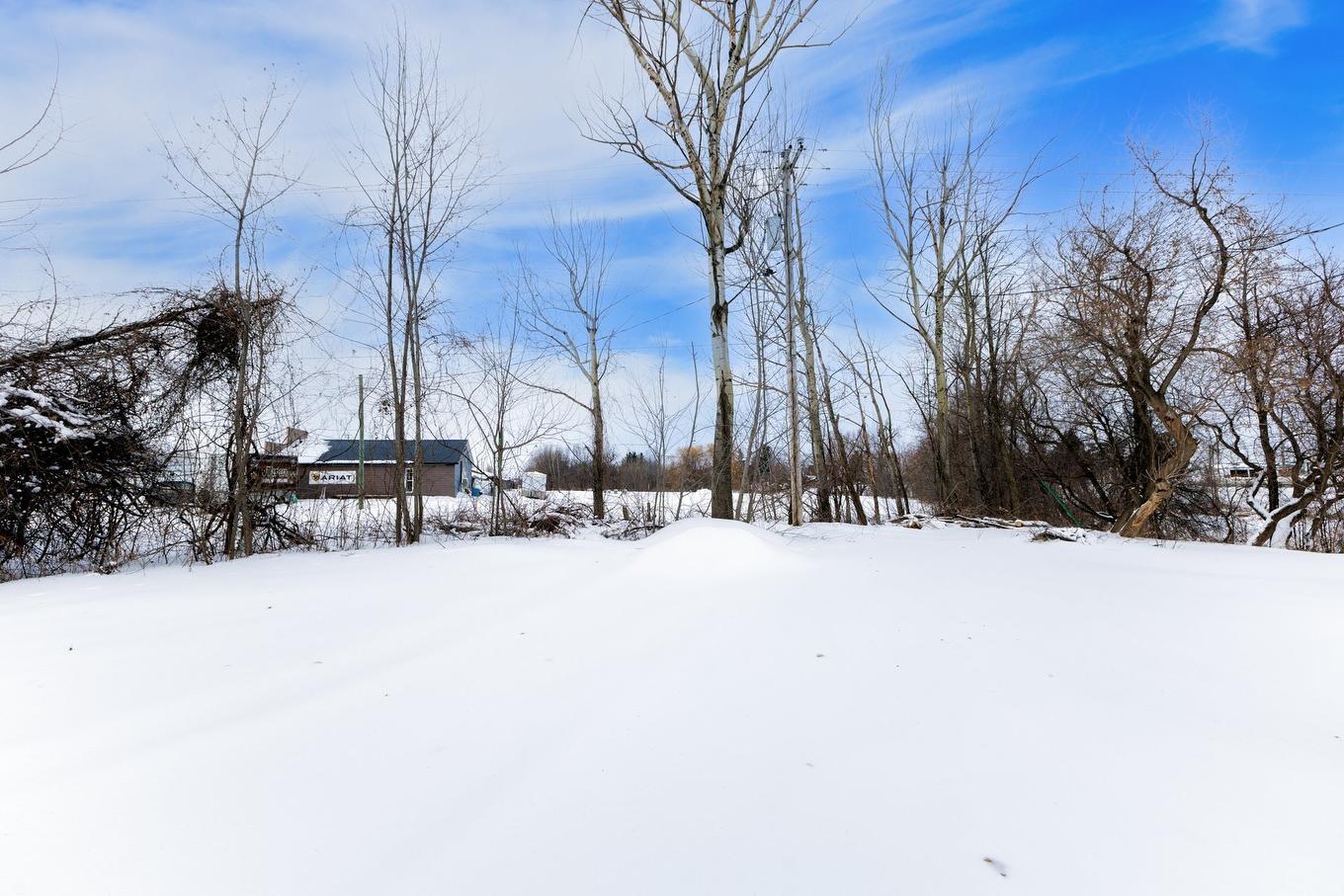 Backyard - 285 Route 201, Coteau-Du-Lac, QC - Outdoor With View