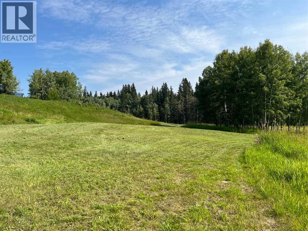 31 Williams Place, Bragg Creek, AB - Outdoor With View