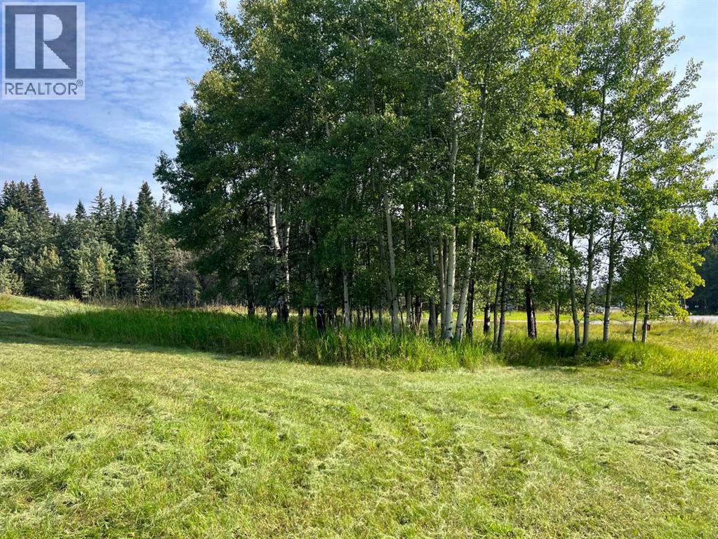 31 Williams Place, Bragg Creek, AB - Outdoor With View