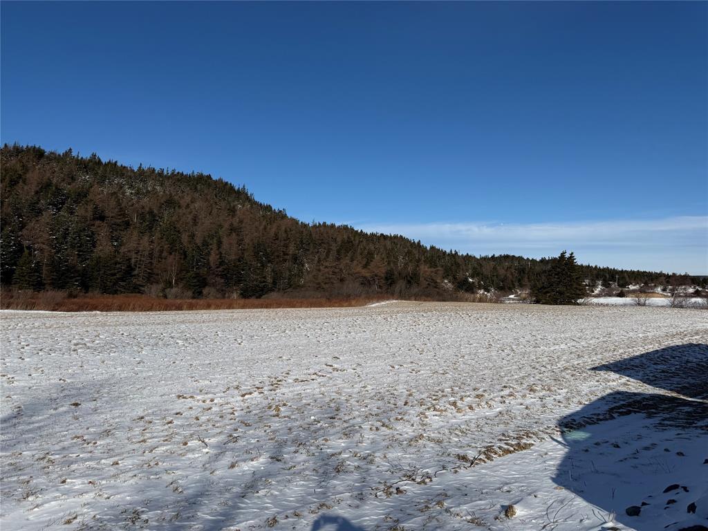 38 North Side Road, Bay Roberts, NL