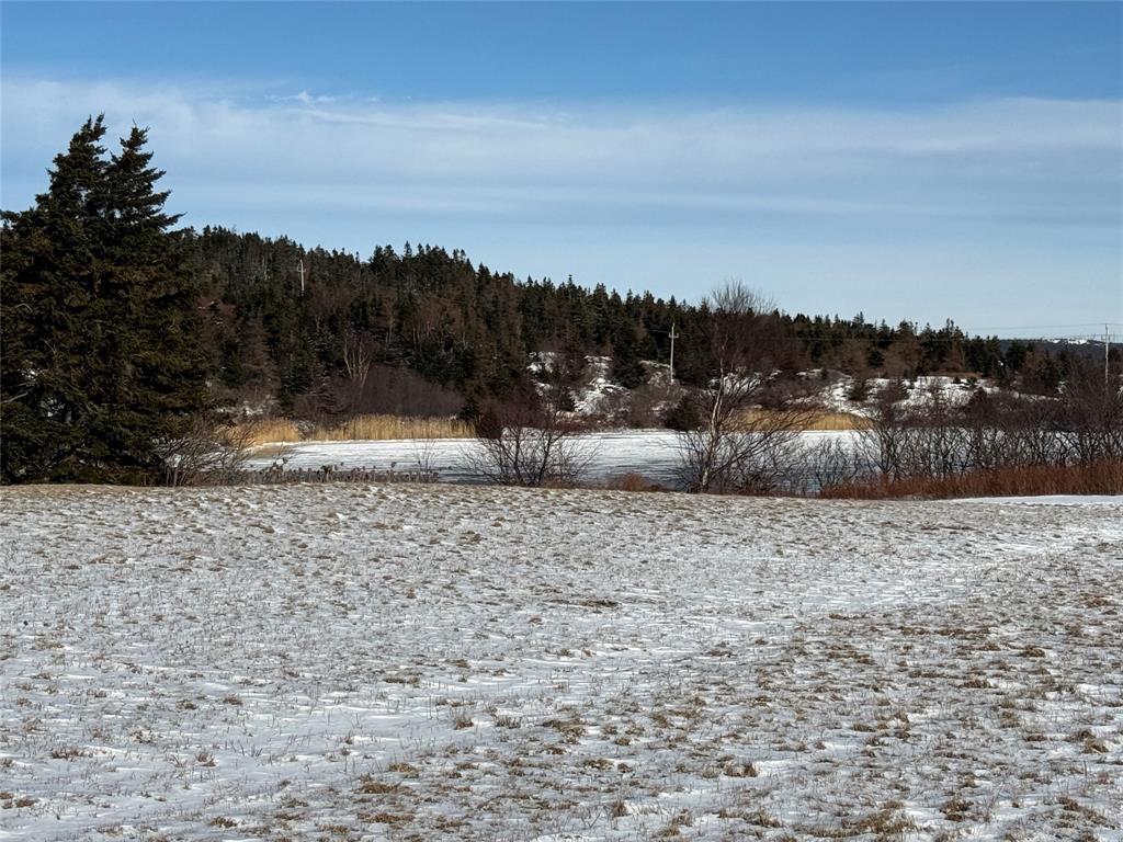 38 North Side Road, Bay Roberts, NL