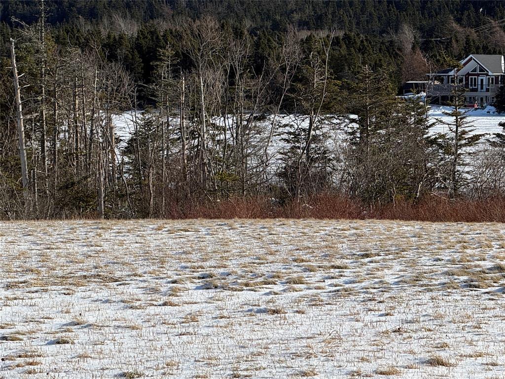 38 North Side Road, Bay Roberts, NL