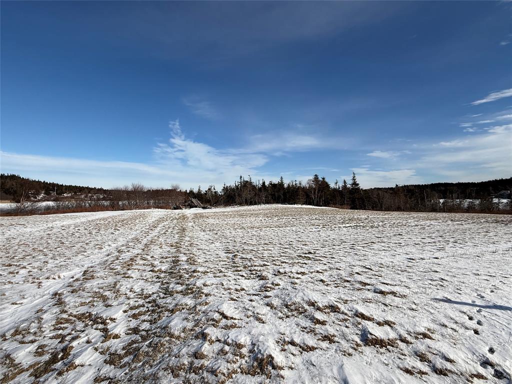 38 North Side Road, Bay Roberts, NL