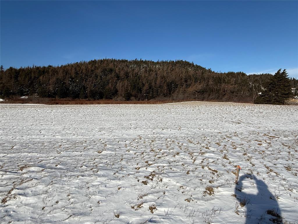 38 North Side Road, Bay Roberts, NL