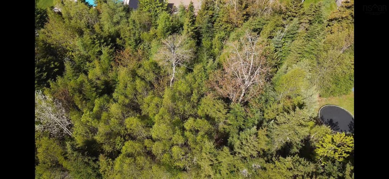 80 Burris Drive, Valley, NS