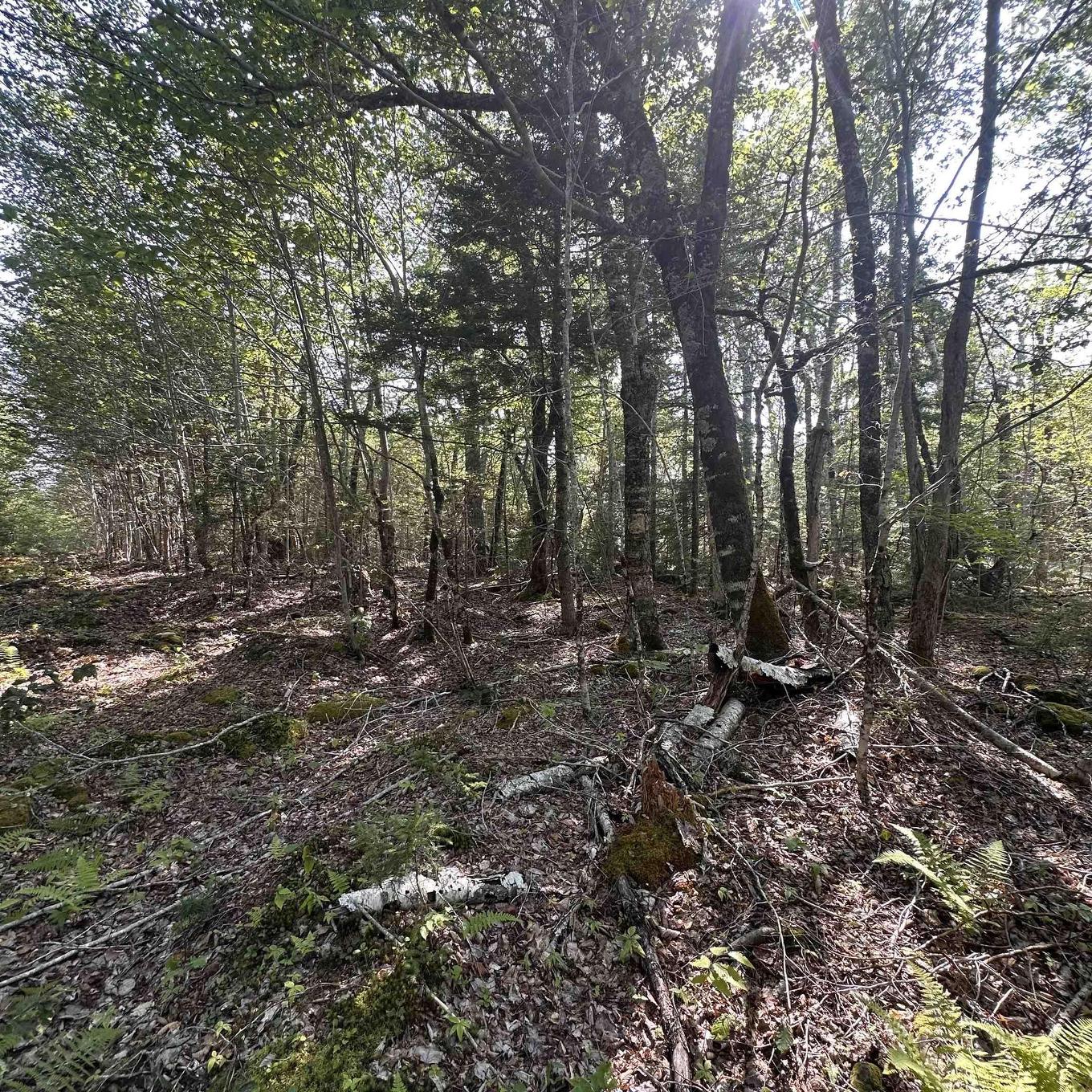 Lot 49 Island View Terrace, Labelle, NS