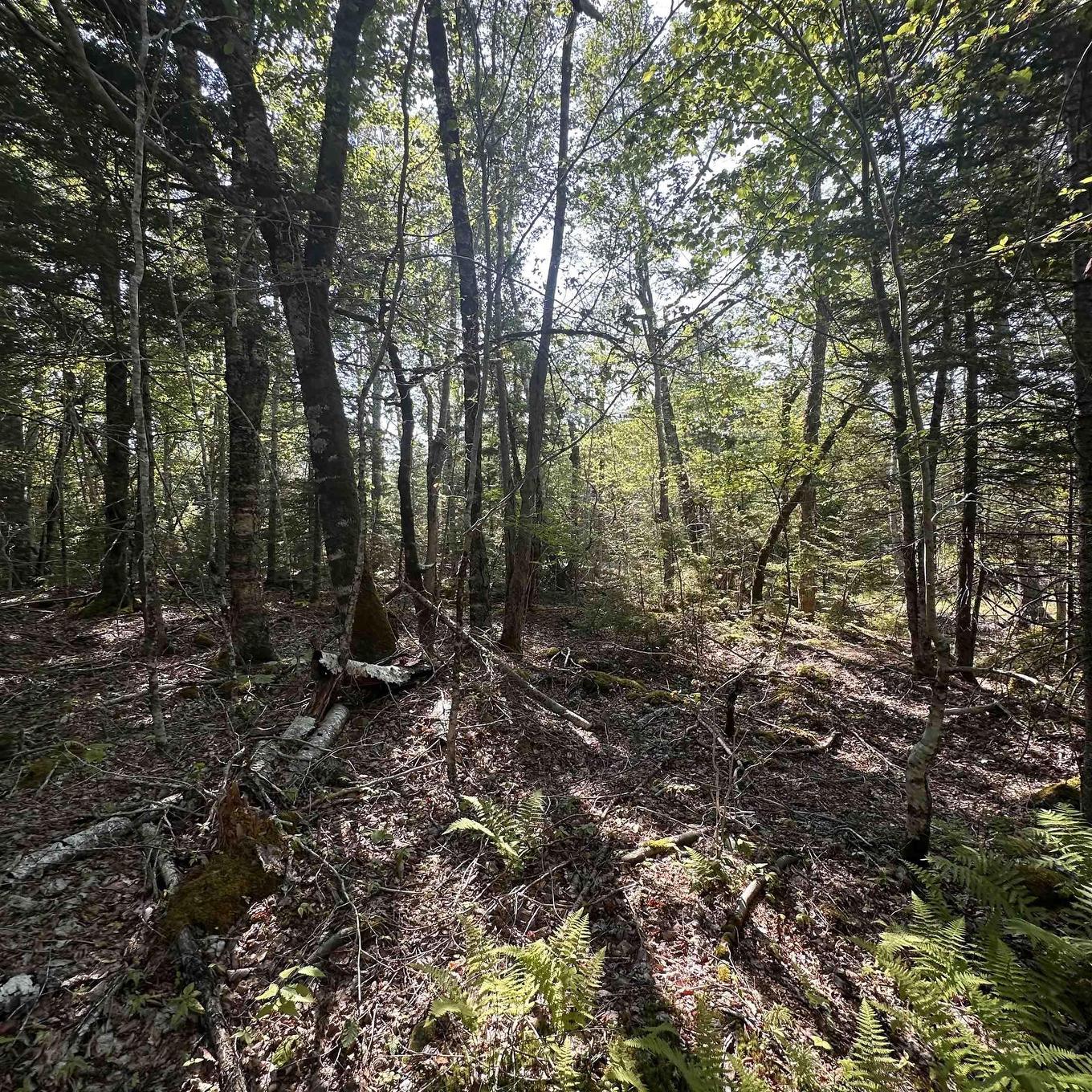 Lot 49 Island View Terrace, Labelle, NS