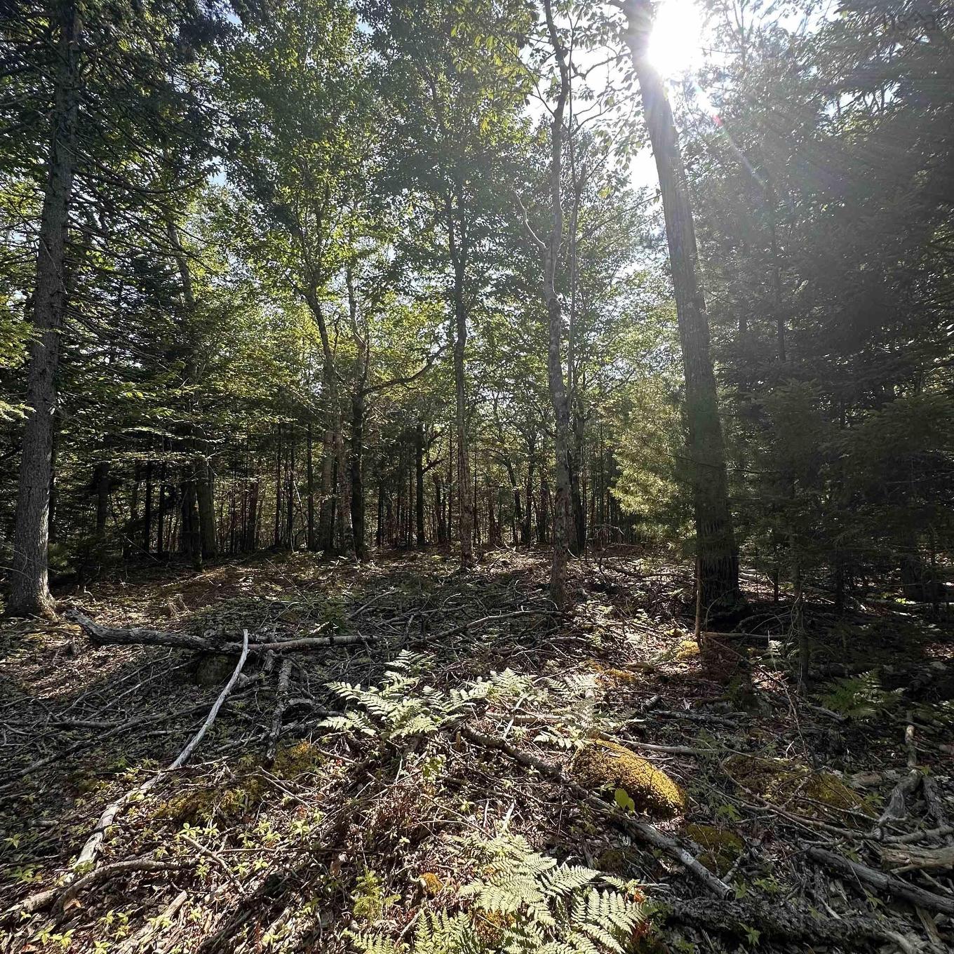 Lot 51 Island View Terrace, Labelle, NS