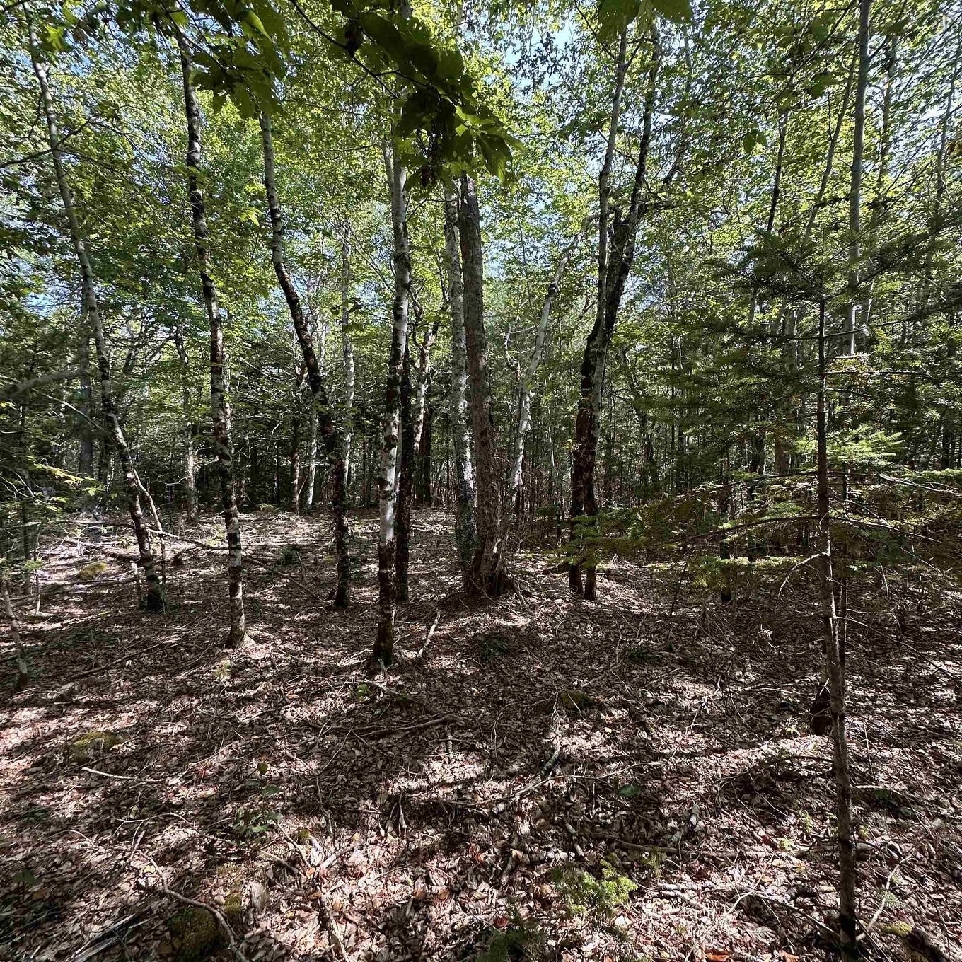 Lot 51 Island View Terrace, Labelle, NS