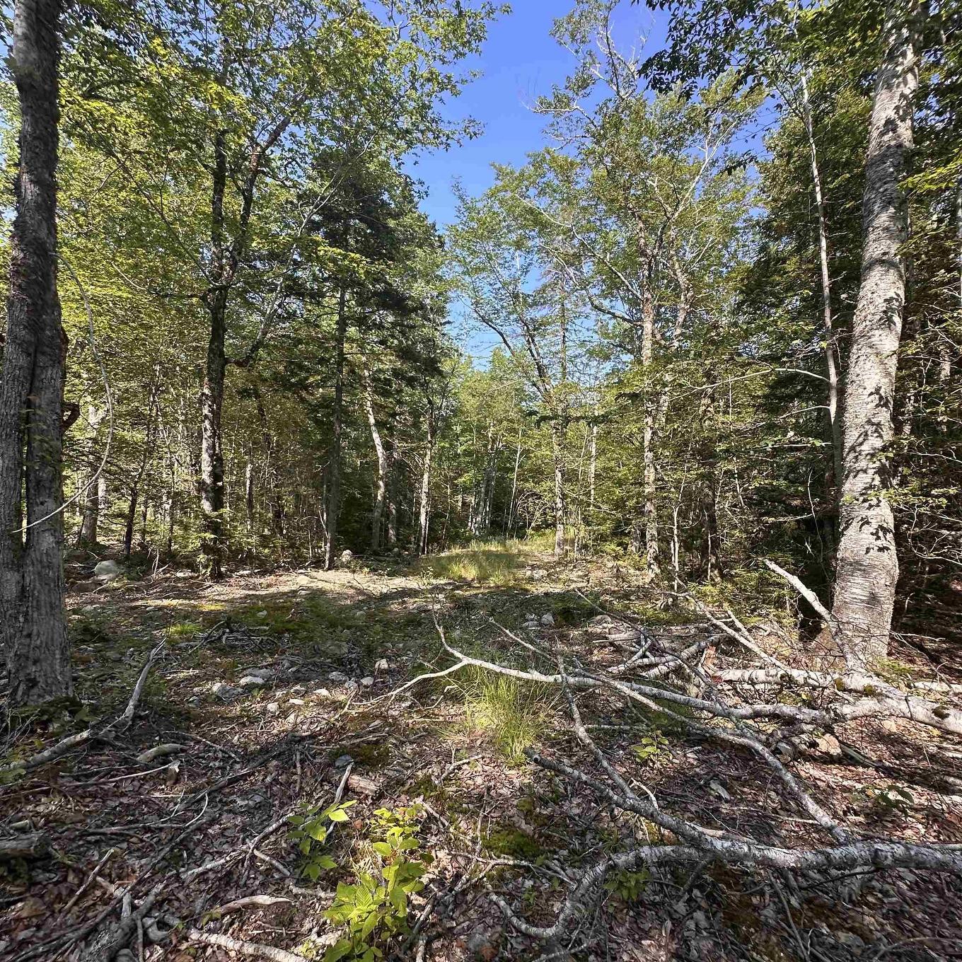 Lot 51 Island View Terrace, Labelle, NS