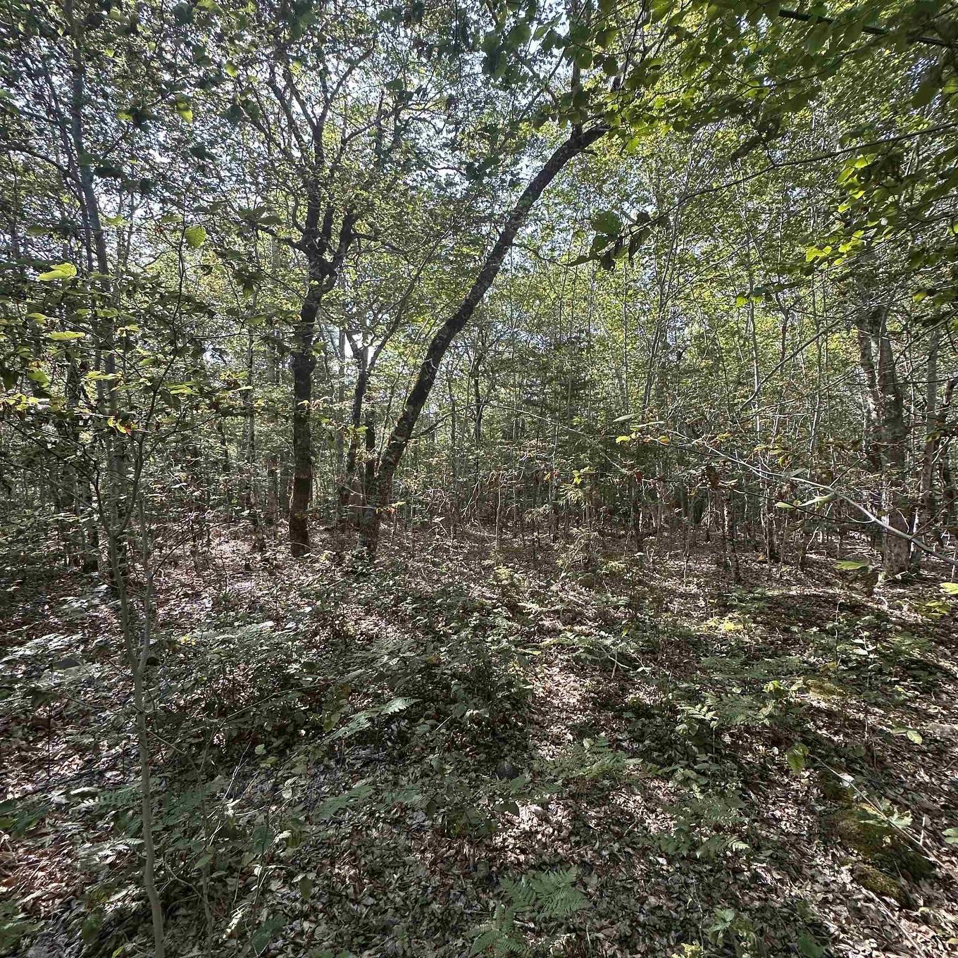 Lot 51 Island View Terrace, Labelle, NS