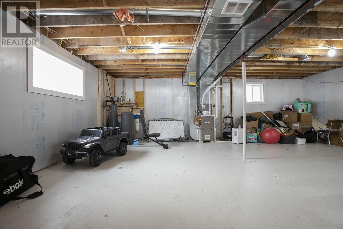 80 Trout Lake Rd, Heyden, ON - Indoor Photo Showing Basement