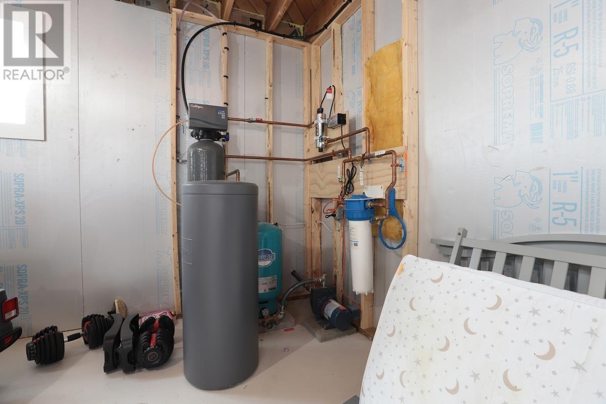 80 Trout Lake Rd, Heyden, ON - Indoor Photo Showing Basement