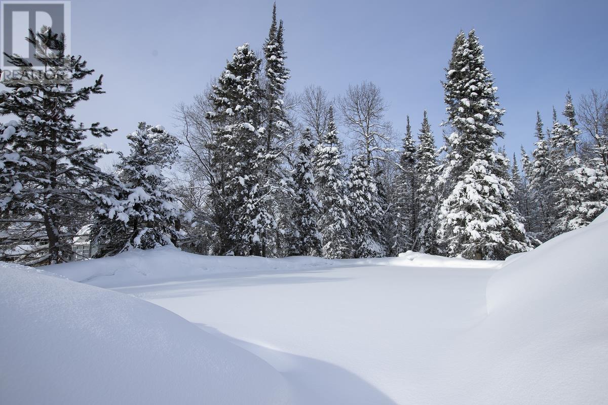 80 Trout Lake Rd, Heyden, ON - Outdoor