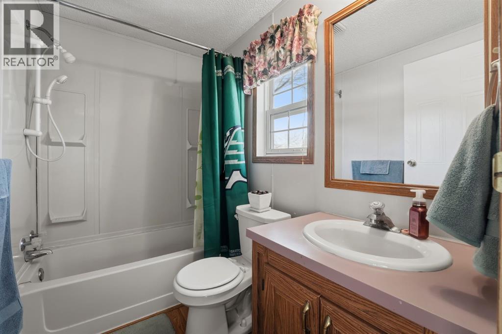 #47, 33009 Range Road 55, Rural Mountain View County, AB - Indoor Photo Showing Bathroom