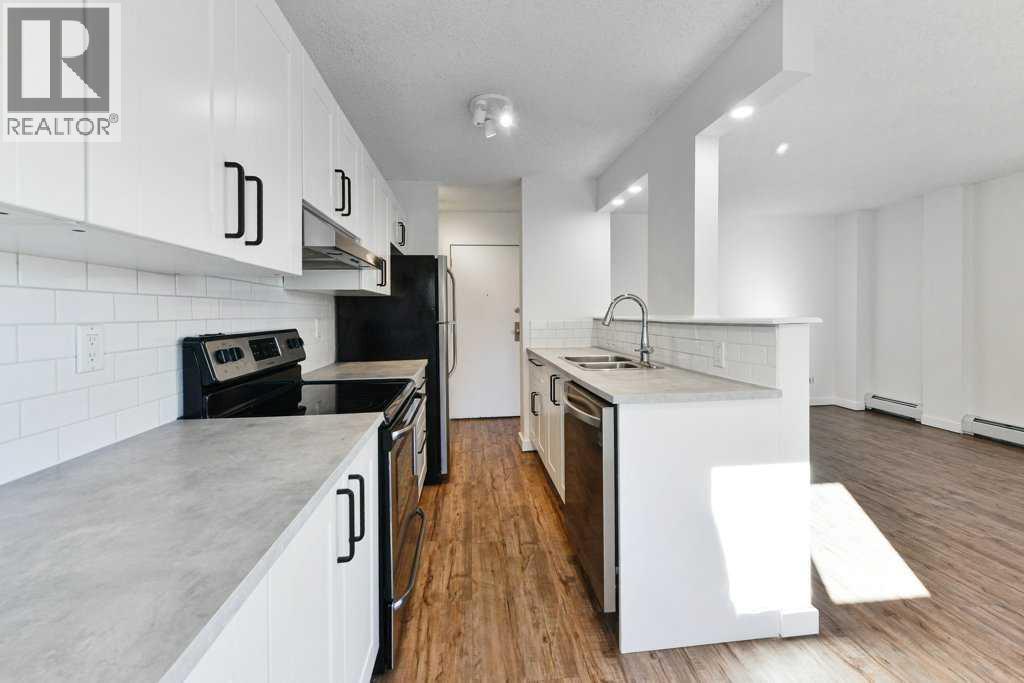 204, 2220 16A Street Sw, Calgary, AB - Indoor Photo Showing Kitchen With Double Sink With Upgraded Kitchen