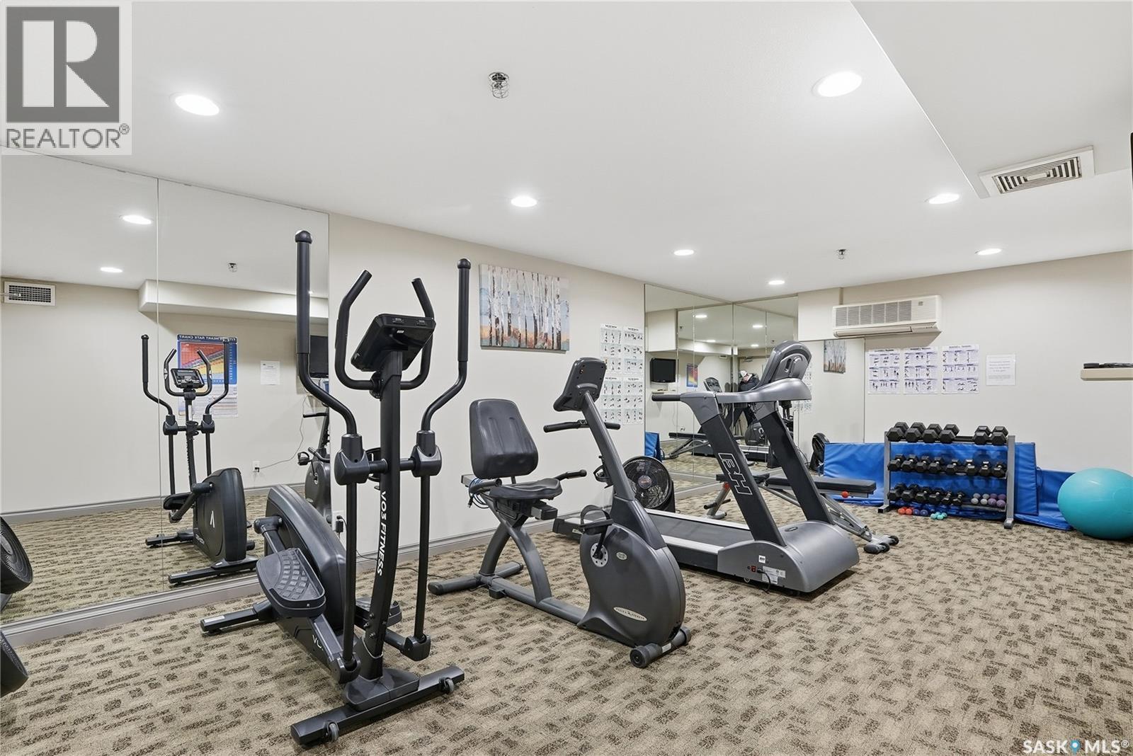 239 623 Saskatchewan Crescent W, Saskatoon, SK - Indoor Photo Showing Gym Room