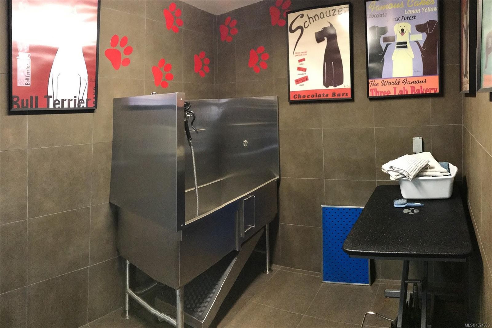 208-100 Saghalie Rd, Victoria, BC - Indoor