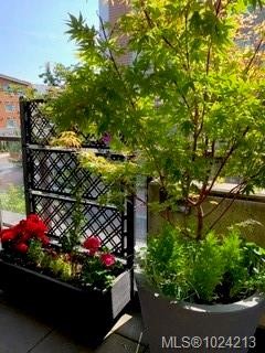 203-2461 Sidney Ave, Sidney, BC - Outdoor