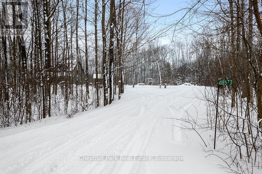 CIRCULAR DRIVEWAY - 418573 Concession A, Meaford, ON - Outdoor