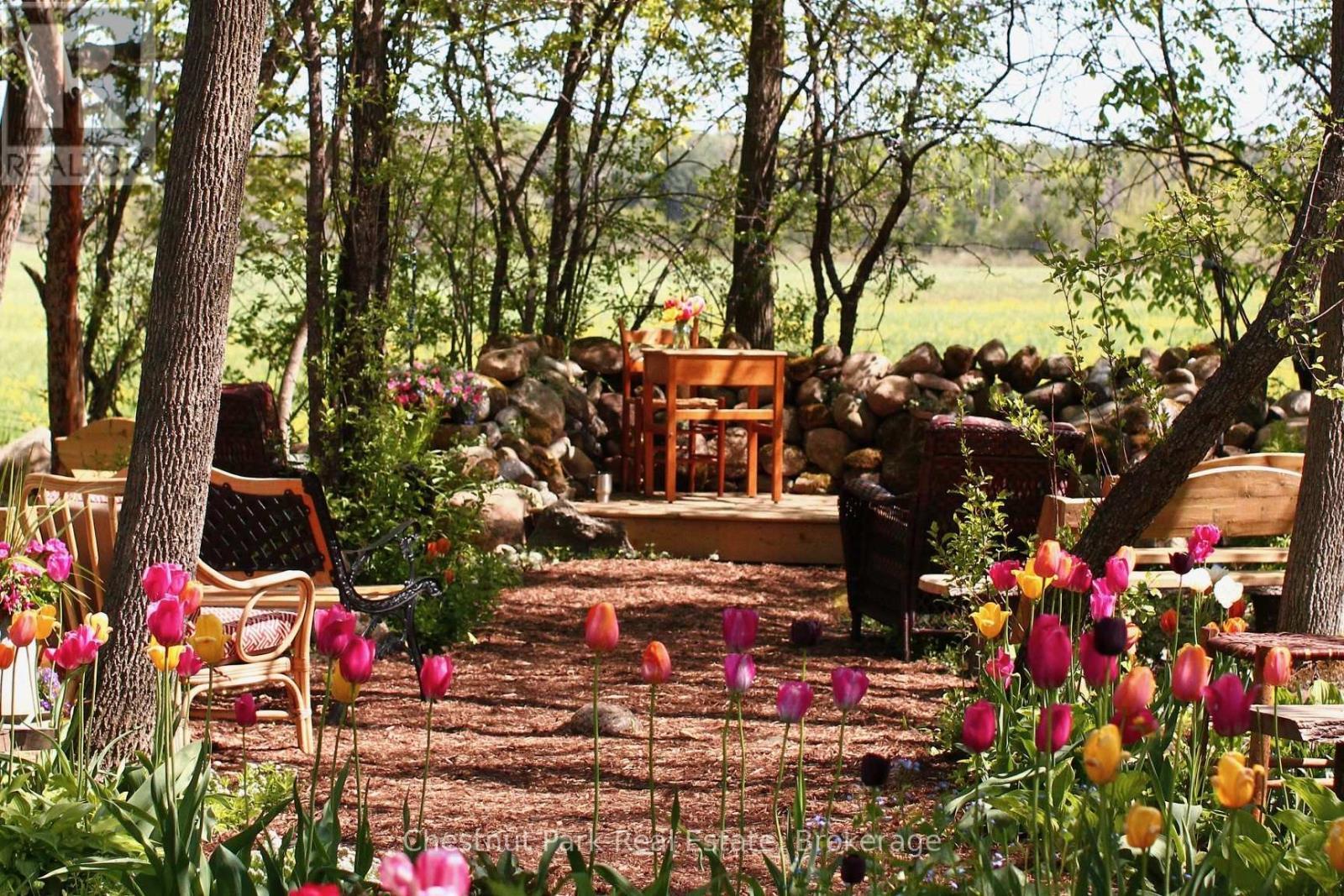 SITTING AREA IN WOODS - 418573 Concession A, Meaford, ON - Outdoor