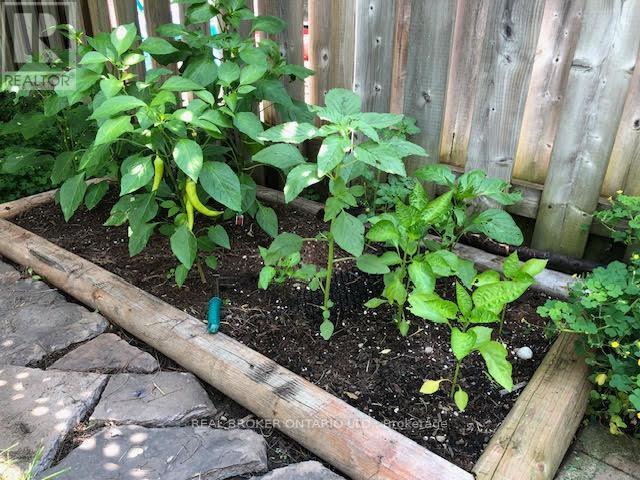 389 Ferndale Drive S, Barrie, ON - Outdoor