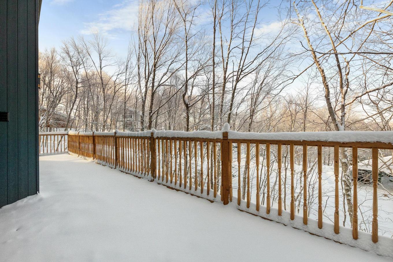 Balcon - 125 Rue Paulsen, Sainte-Agathe-Des-Monts, QC - Outdoor