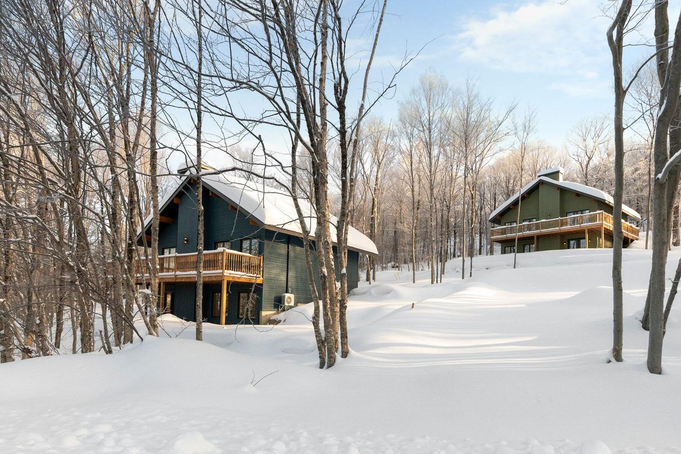 Façade - 125 Rue Paulsen, Sainte-Agathe-Des-Monts, QC - Outdoor