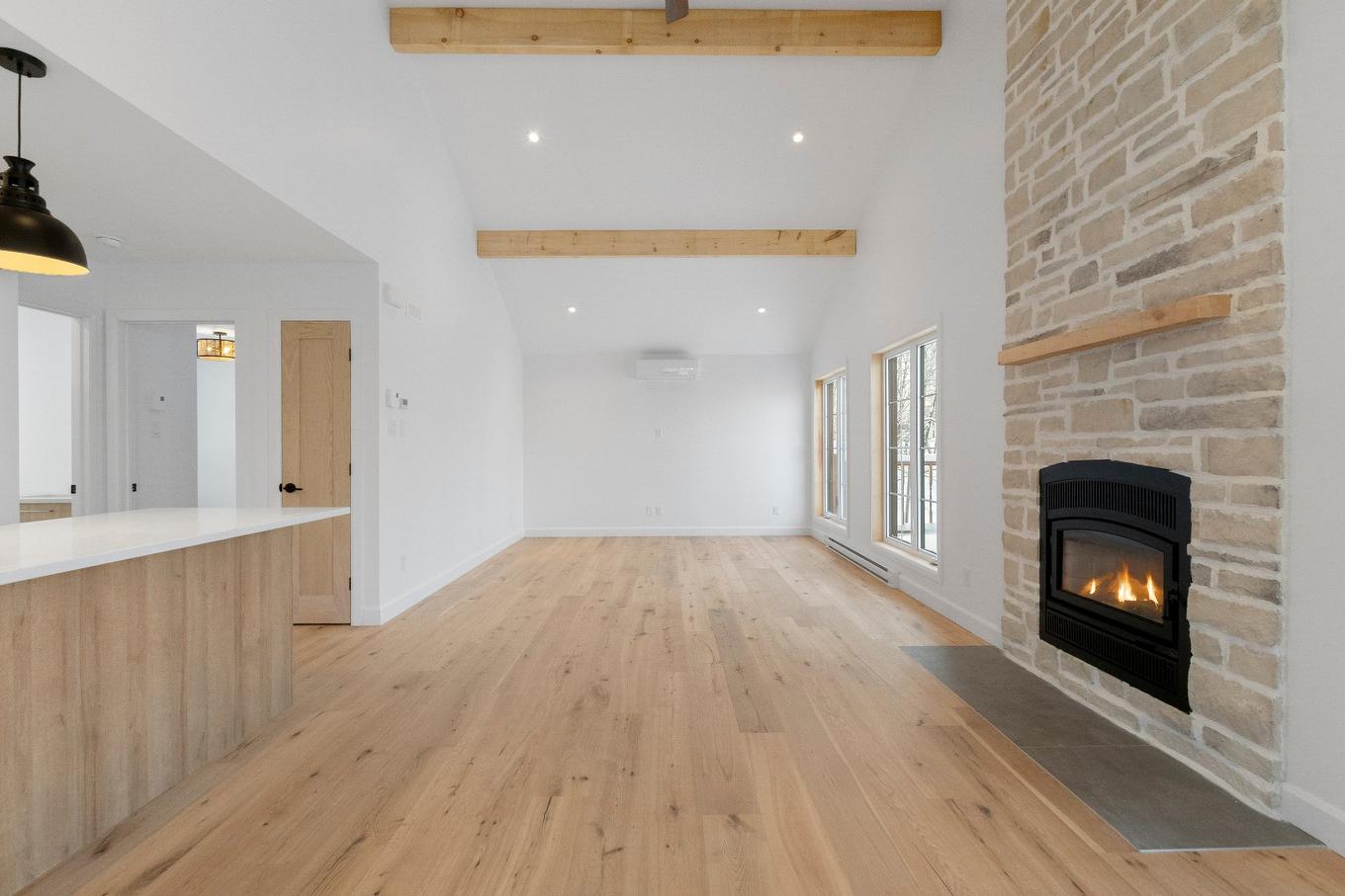 Salle à manger - 125 Rue Paulsen, Sainte-Agathe-Des-Monts, QC - Indoor Photo Showing Living Room With Fireplace